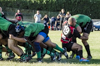 thumb_DSC_7218.JPG